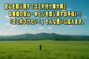ゴミ片付け隊大興のハウスクリーニング後のイメージ風景
